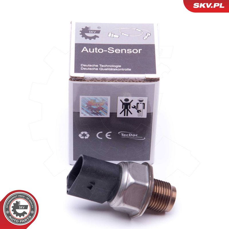 Andur, kütuserõhk, ESEN SKV 17SKV590