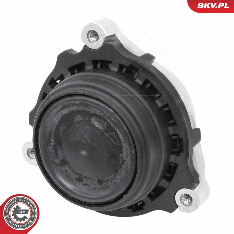 Paigutus, Mootor, ESEN SKV 75SKV285