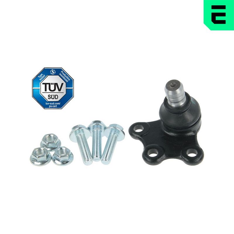 Kande-, juhtliigend,...