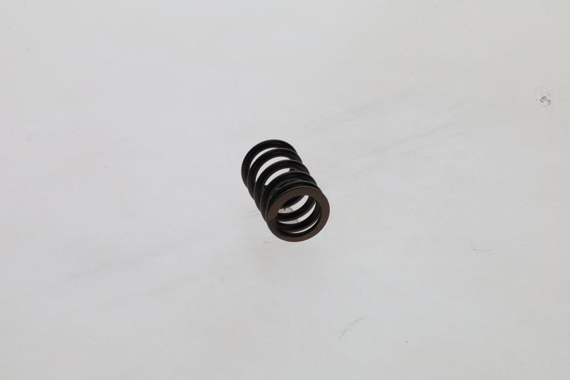 Arc 1 424 619 025 BOSCH