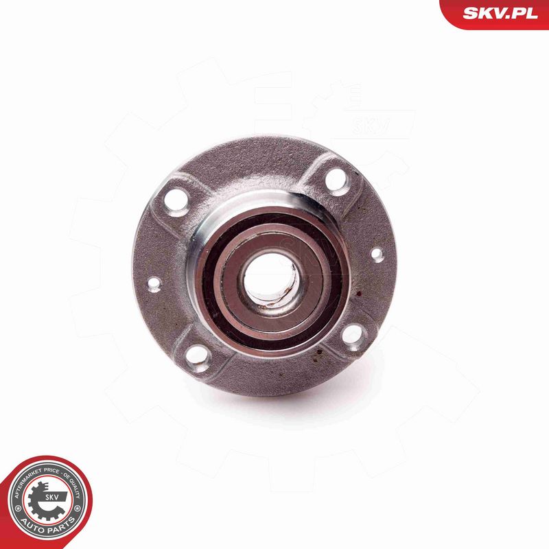 ESEN SKV 29SKV053 Rato guolio komplektas
