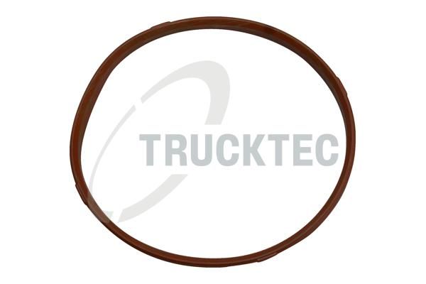 TRUCKTEC AUTOMOTIVE 08.13.002 - Įsiurbimo kolektoriaus tarpinė