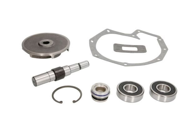 THERMOTEC WP-DF101RK Repair Kit, water pump