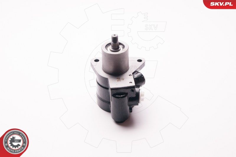 ESEN SKV 1SKV0011 Hydraulic Pump, steering