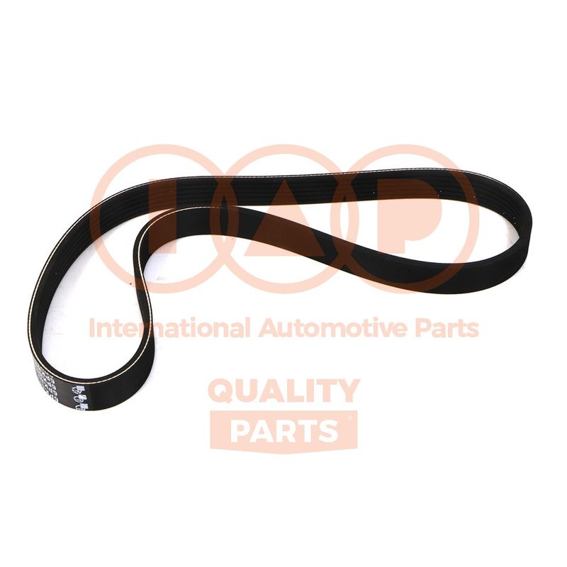 IAP QUALITY PARTS 140-00100 - V-ribbed Belt