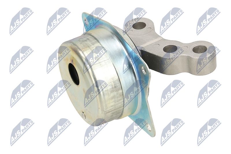 Paigutus, Mootor, NTY ZPS-PL-049
