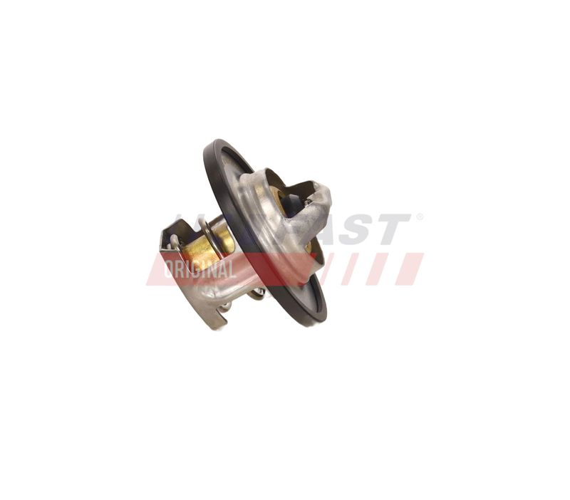 Termostaat, Jahutusvedelik, FAST FT58009