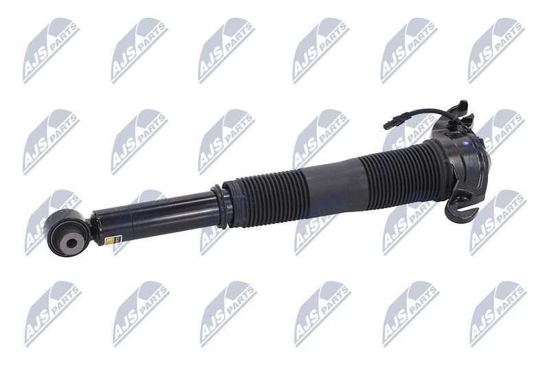 Amort, NTY A-LR-022