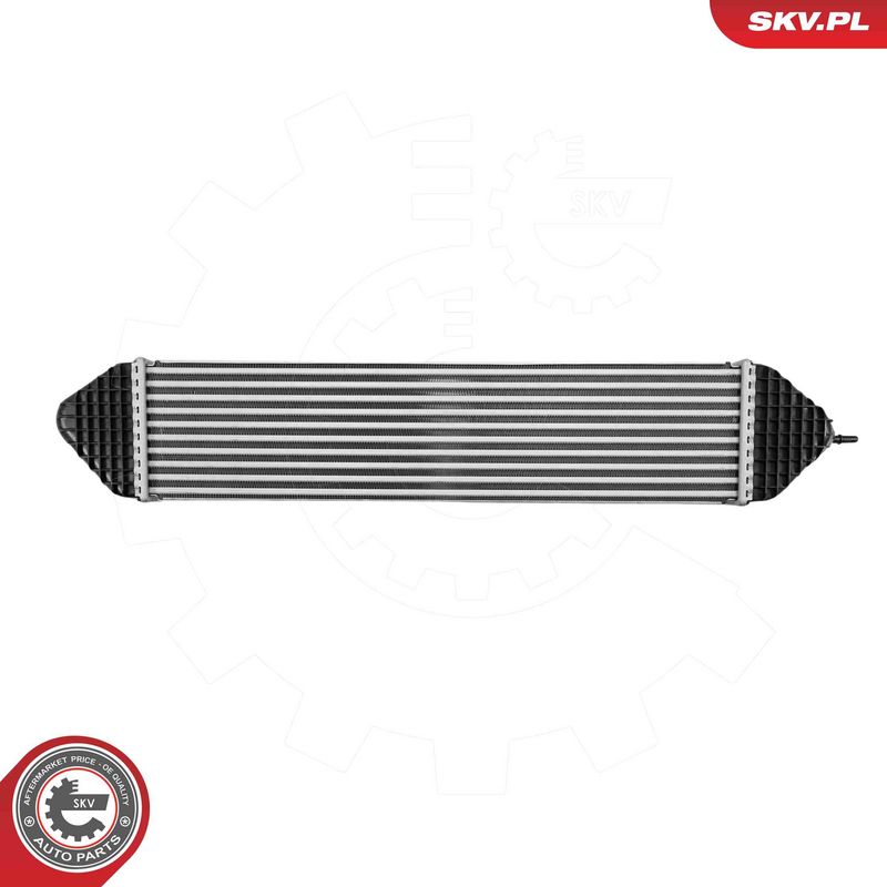 Prekė atitinka OEM kodą: BV619L440AB