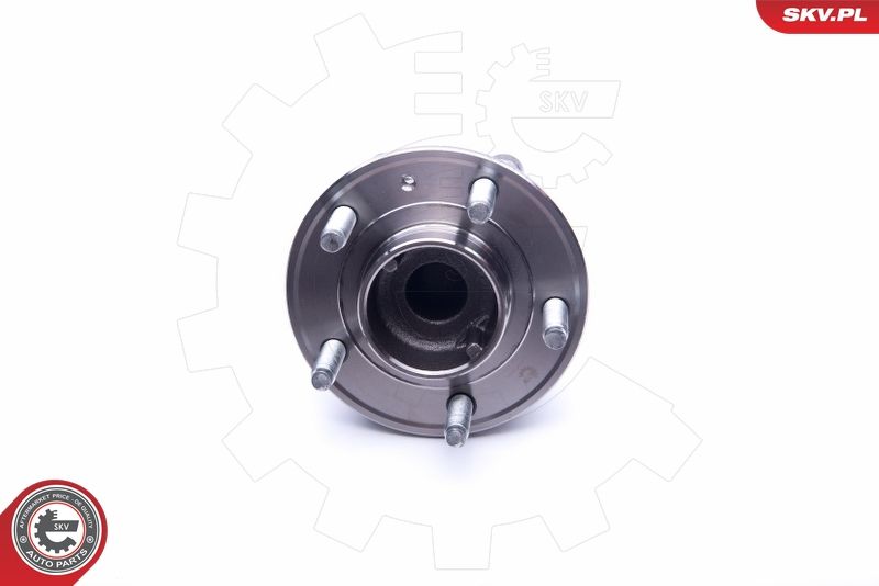 ESEN SKV 29SKV245 Wheel Bearing Kit