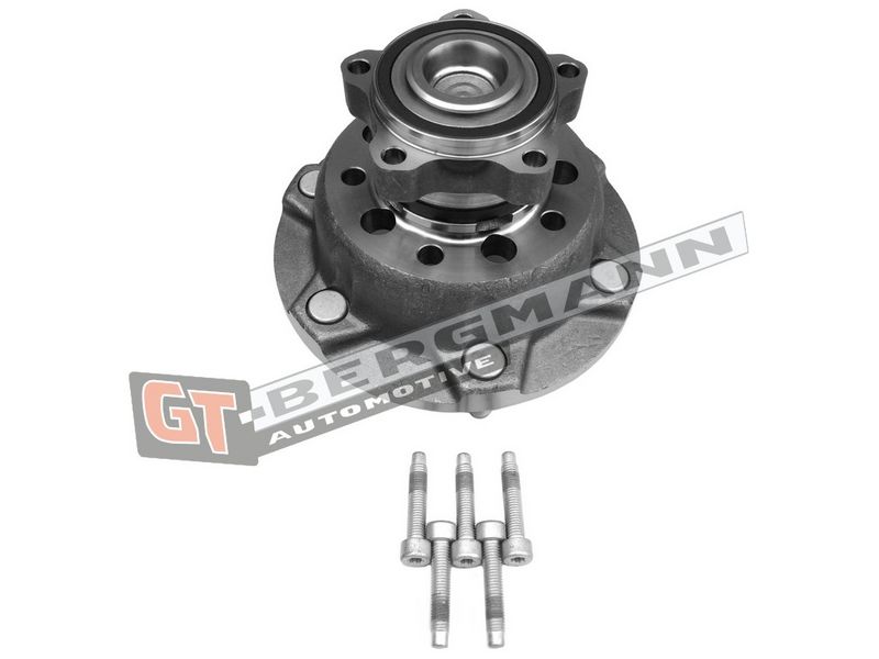 GT-BERGMANN Automotive Rato guolio komplektas