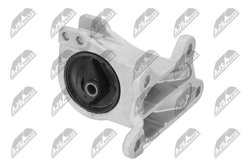Paigutus, Mootor, NTY ZPS-MS-030