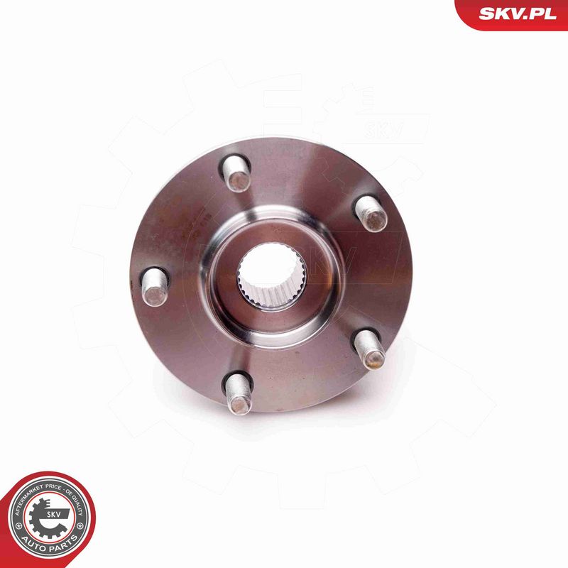 ESEN SKV 29SKV149 Wheel Bearing Kit