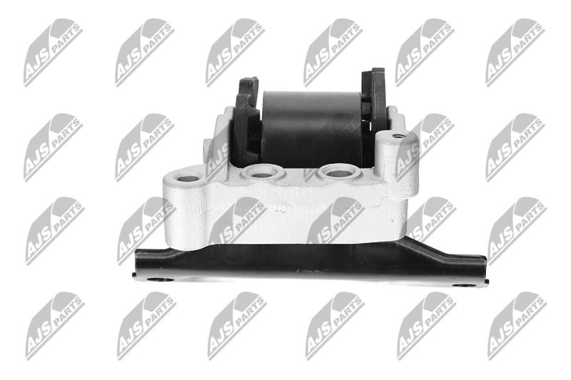 Paigutus, Mootor, NTY ZPS-CH-071