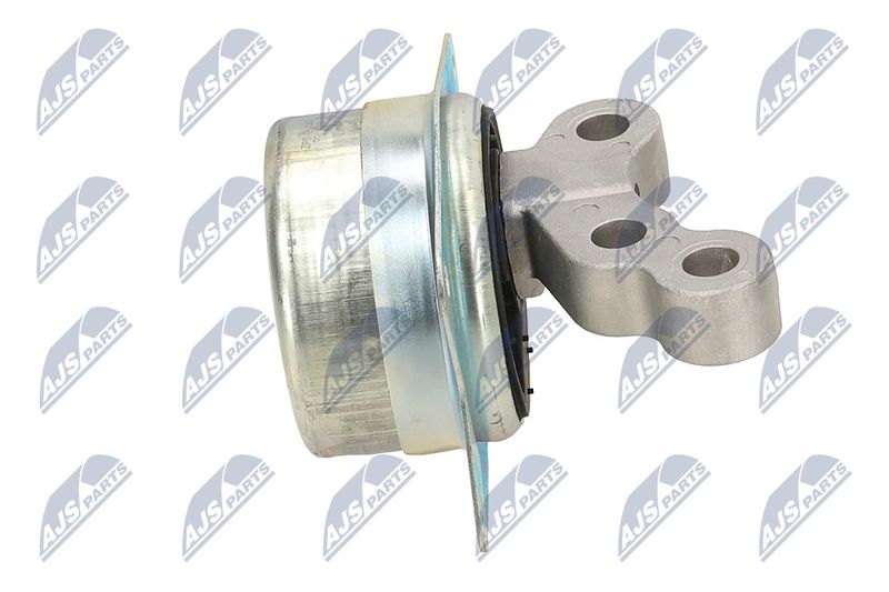 Paigutus, Mootor, NTY ZPS-PL-049