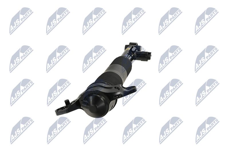 Amort, NTY A-LR-036
