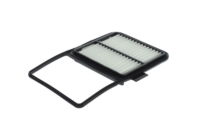 BOSCH F026400170 Oro filtras