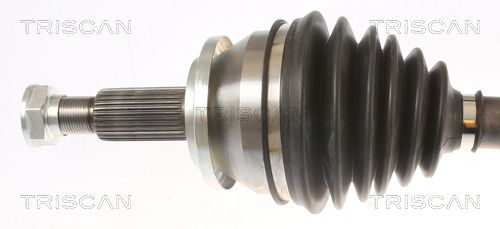 854013556_2.JPG