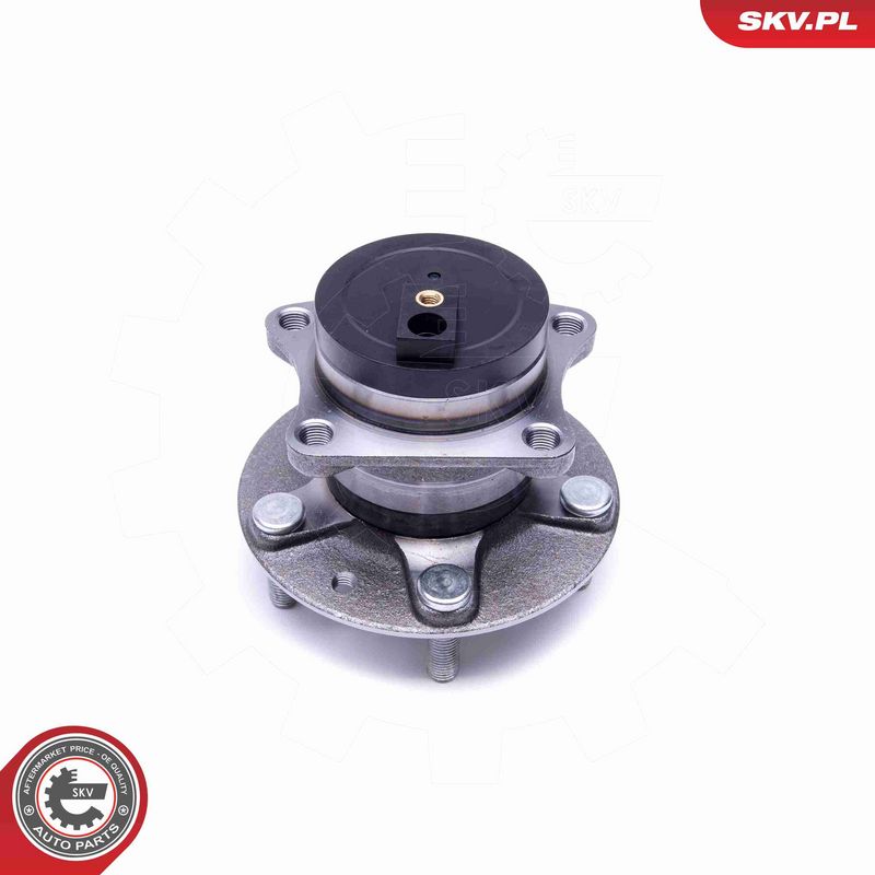ESEN SKV 29SKV379 Wheel Bearing Kit