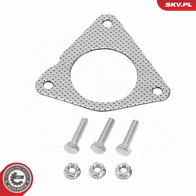 ESEN SKV 62SKV135 Catalytic Converter
