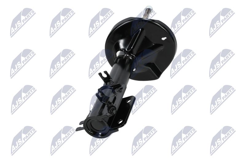 Amort, NTY A-CH-053