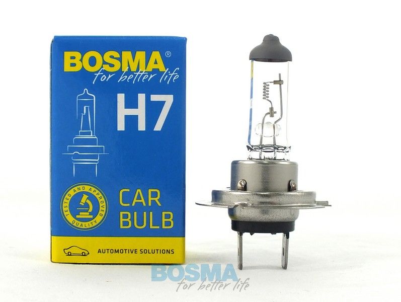 BOSMA 0423 - Lemputė H7 24V 70W
