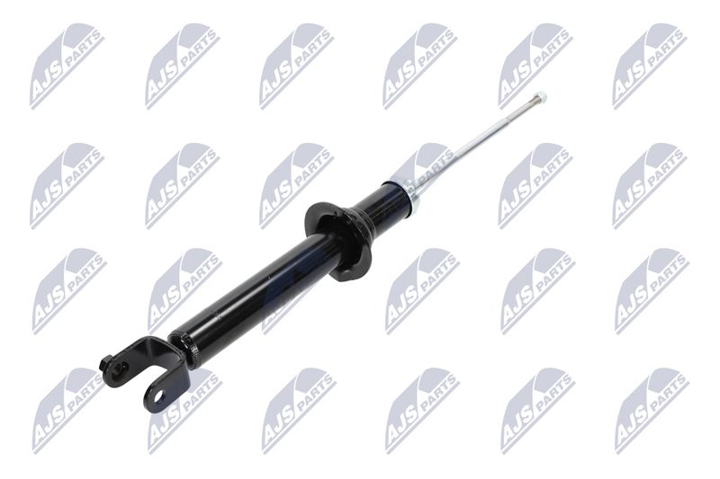 Amort, NTY A-CH-055