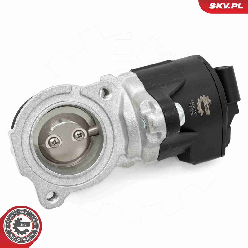 ESEN SKV 14SKV275 EGR Valve
