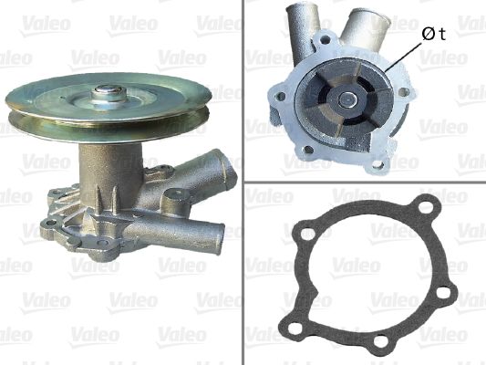 506342.JPG