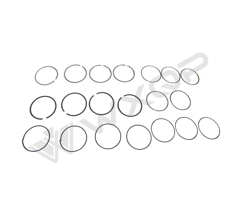 WXQP 316171 Piston Ring