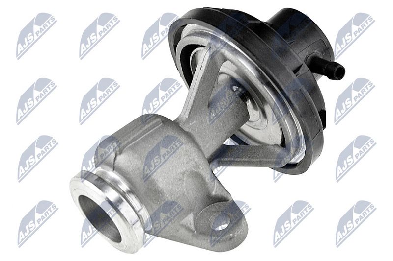 egr-vw-014_2-wm.JPG