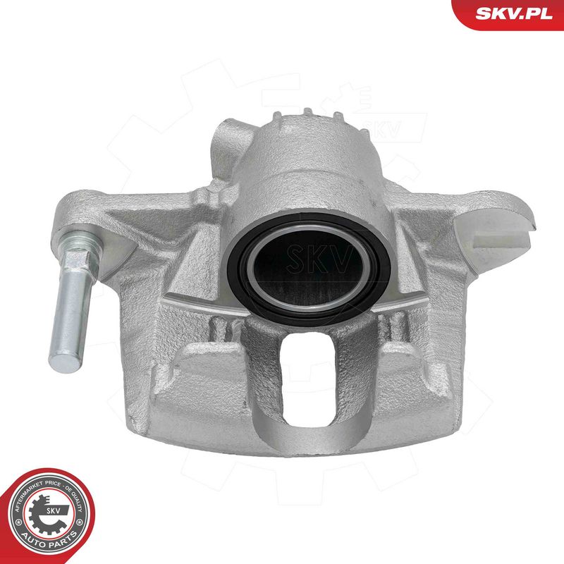 Pidurisadul, ESEN SKV 79SKV491