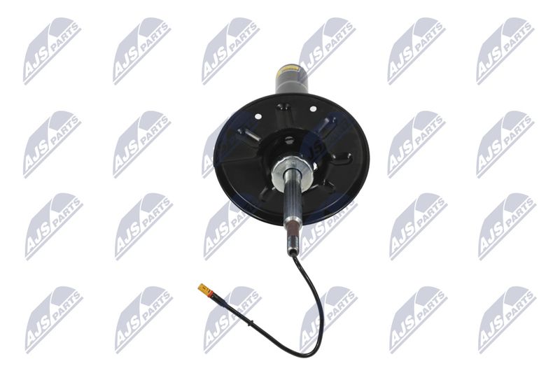 Amort, NTY A-PS-009