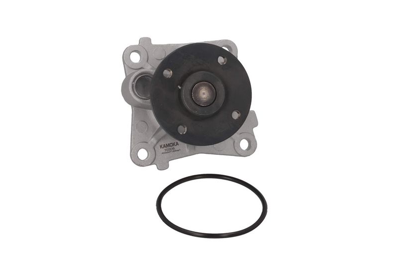 KAMOKA T0309 Vandens siurblys