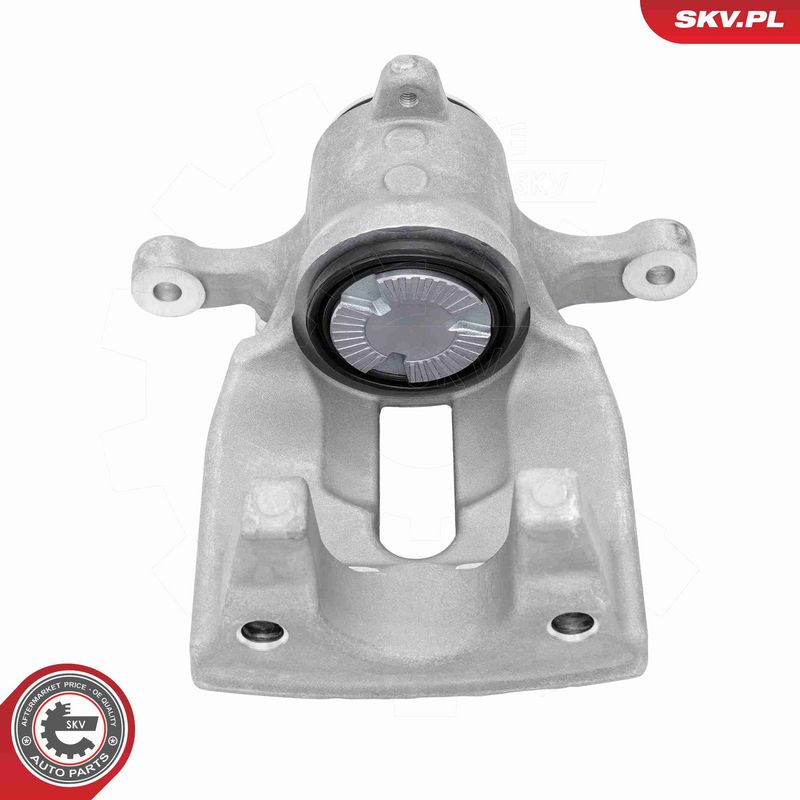 ESEN SKV 79SKV843 Brake Caliper