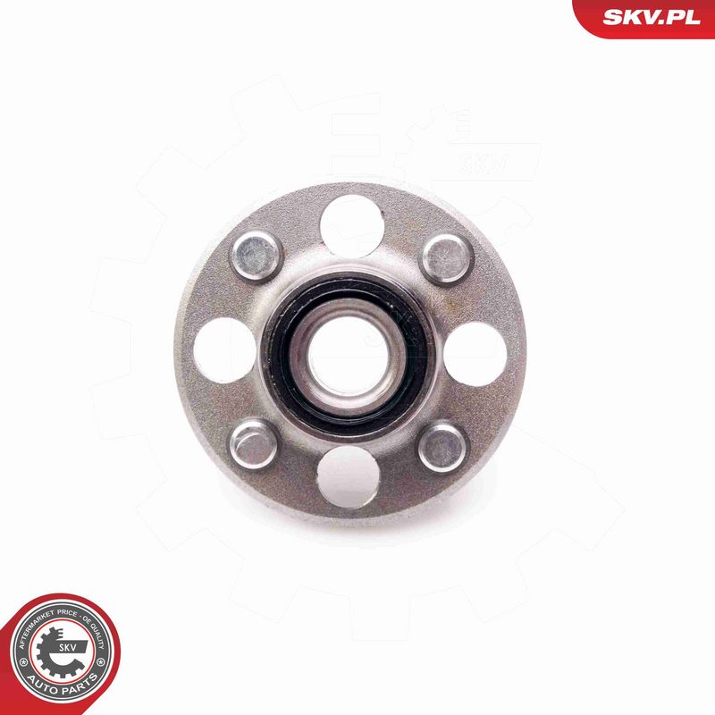 ESEN SKV 29SKV034 Wheel Bearing Kit