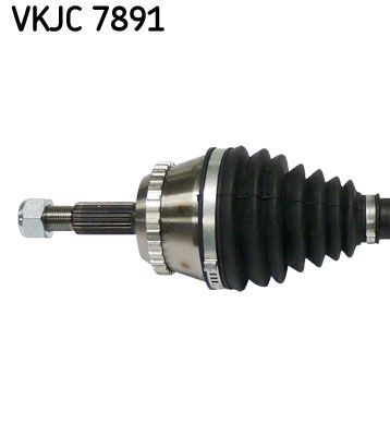 VKJC 7891_2.JPG