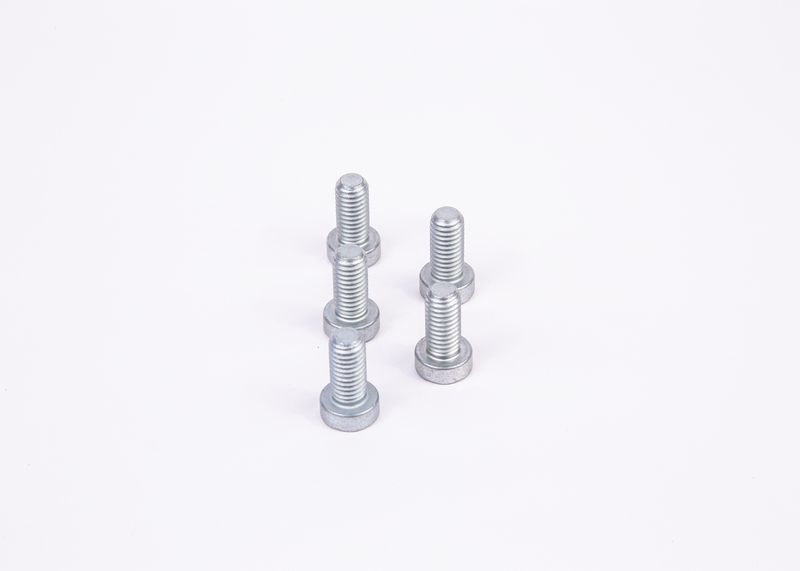 BOSCH F 01M 100 684 Screw