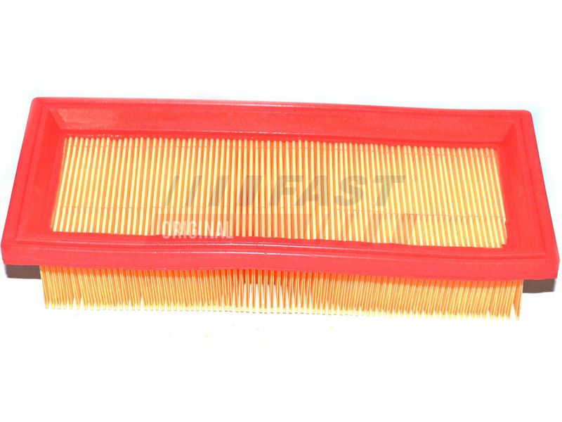 FAST Oro filtras