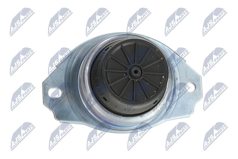 Paigutus, Mootor, NTY ZPS-LR-018