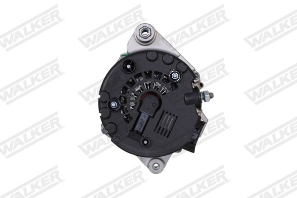 wal01960_5366013.JPG