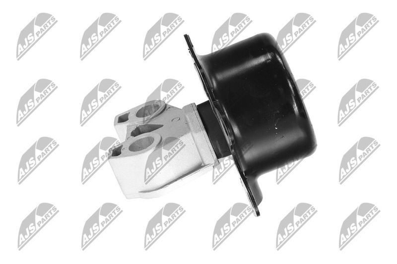 Paigutus, Mootor, NTY ZPS-PL-053