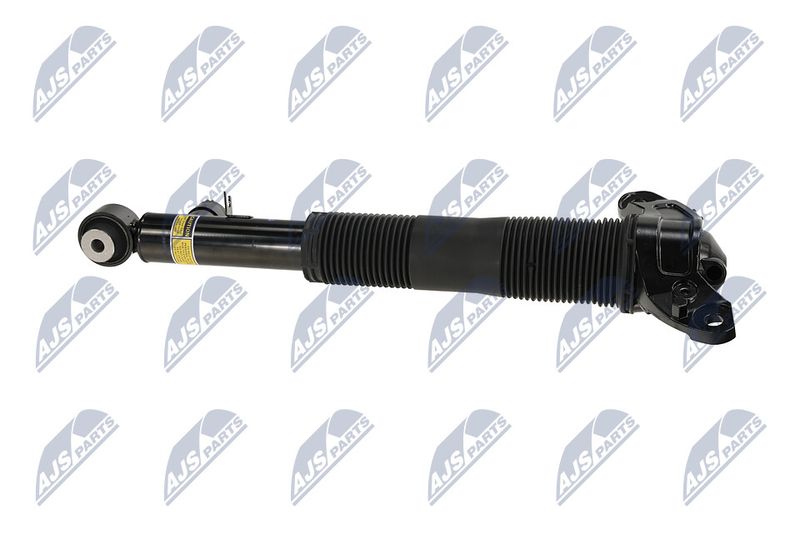 Amort, NTY A-LR-036