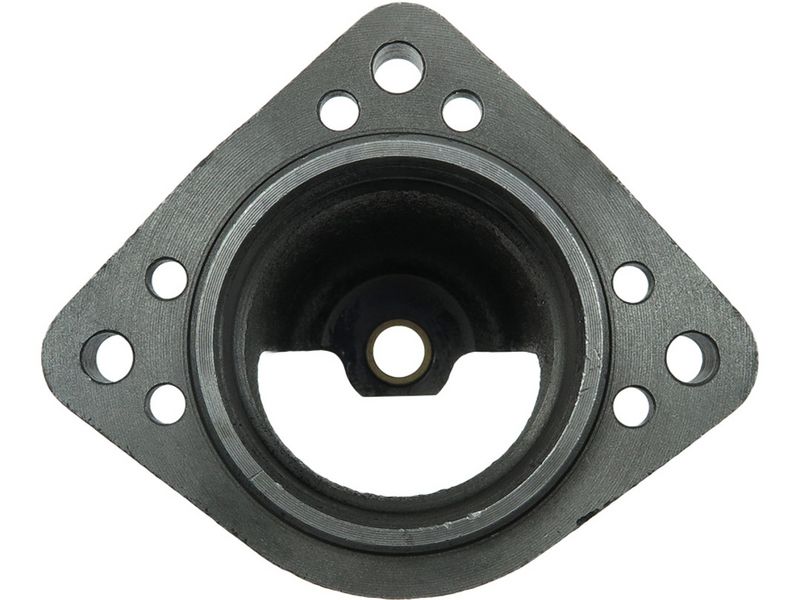 Starterikaas, Karburaator, AS-PL SBR1003