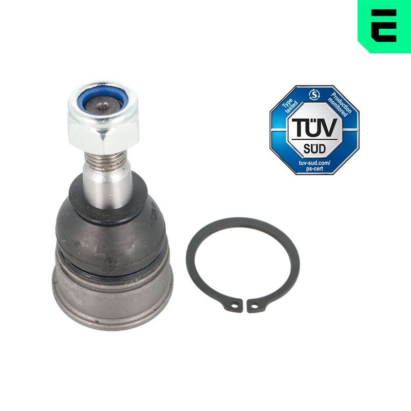 Kande-, juhtliigend,...