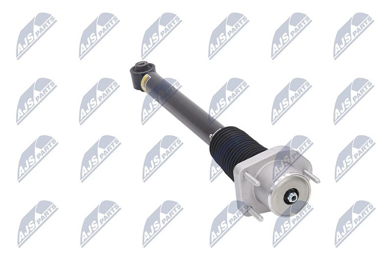 Amort, NTY A-LR-015