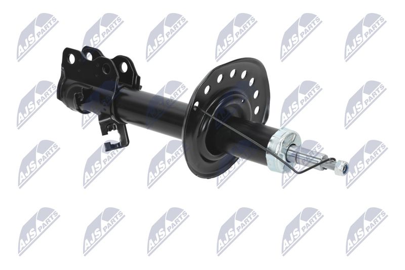 Amort, NTY A-NS-041