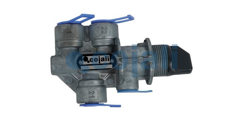 Supapa multicai COJALI 2215211