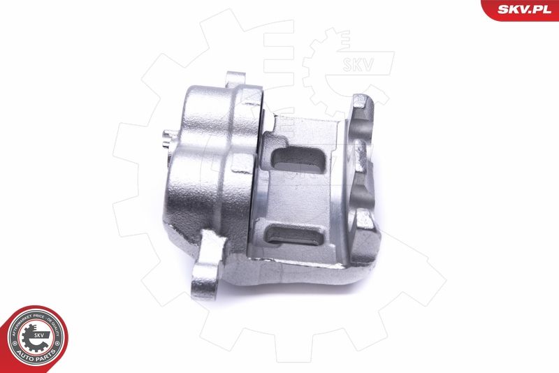 ESEN SKV 46SKV622 Brake Caliper