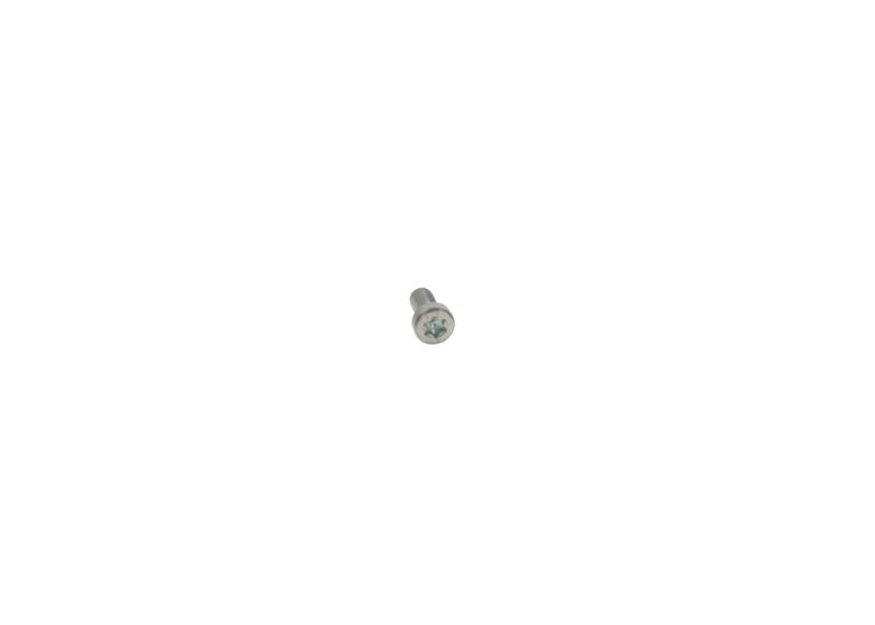 Surub 2 912 738 193 BOSCH